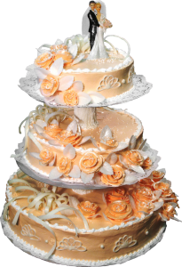 Wedding cake PNG-19432